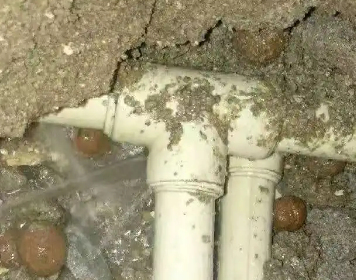 昭平测漏水多少钱