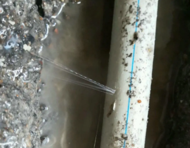 昭平测漏水哪家好