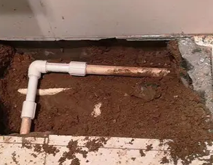 昭平测漏水哪家好