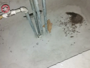 昭平卫生间测漏水价格明细