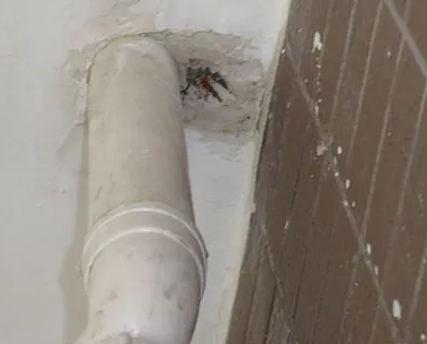 昭平漏水检测哪家好